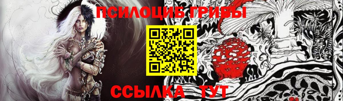 Псилоцибиновые грибы Cubensis  Вход с VPN  Псилоцибиновые грибы прущие грибы  Павлово 